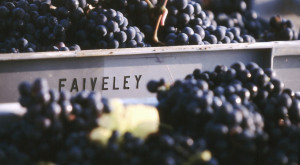 Wine Diner - La Bourgogne du Domaine Faiveley @ Wine and More
