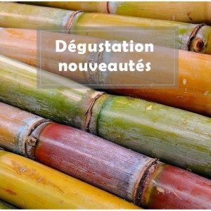 Masterclass "A la découverte des rhums parmi nos nouveautés" @ Wine and More