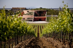 Wine Diner #4 "Antinori & Le Sangiovese" @ Wine and More